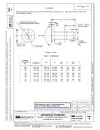 SAE AS125251B