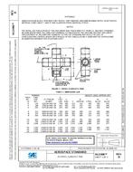 SAE AS21906D