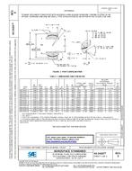 SAE AS14101E