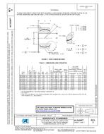 SAE AS14104E