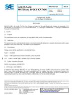 SAE AMS2451/10B